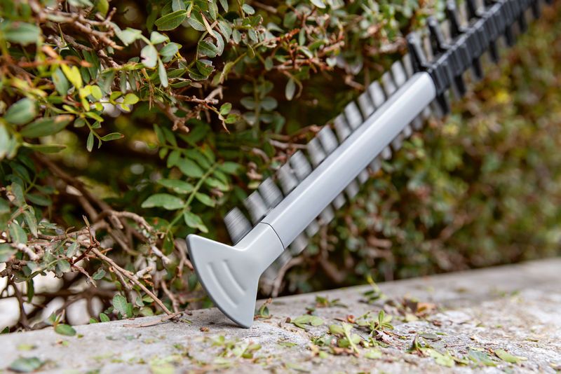 树篱修剪机刀片正在修剪花园边缘的绿色灌木。.