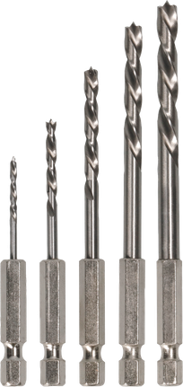 Bosch PRO Wood HSS Brad Point 钻头套装，5 种尺寸。.