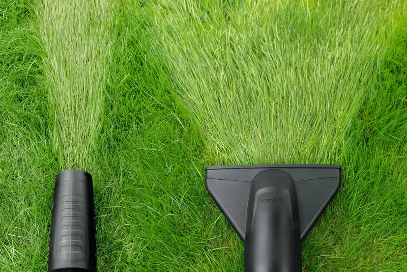 吹叶机和草坪吸尘器在绿草中创造出清晰的道路。.