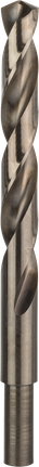 Bosch PRO 不锈钢 HSS-Co 麻花钻头 12.5 毫米。.