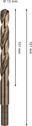 Bosch PRO HSS-Co 麻花钻头直径 12 毫米。.