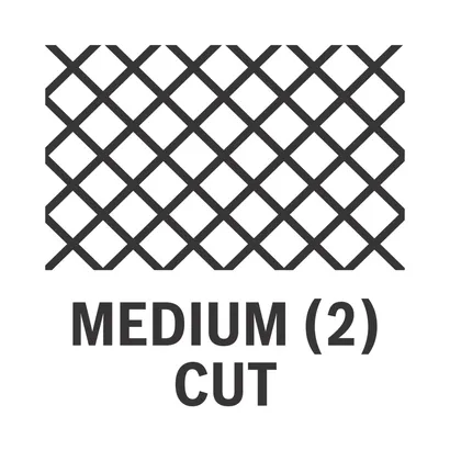 锉刀和锉刀刷套装，6件装